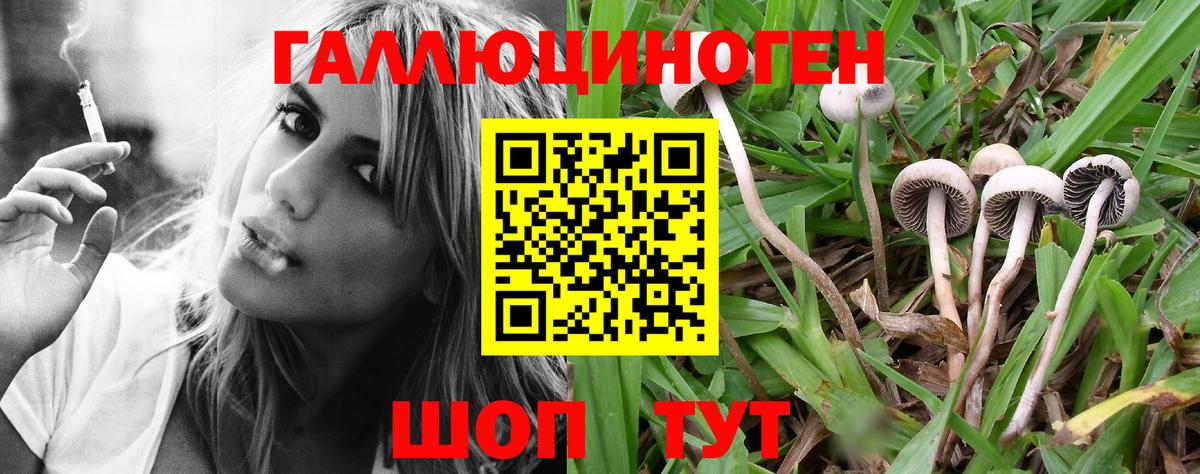 Ипатово  Псилоцибиновые грибы Magic Shrooms  Вход с VPN 